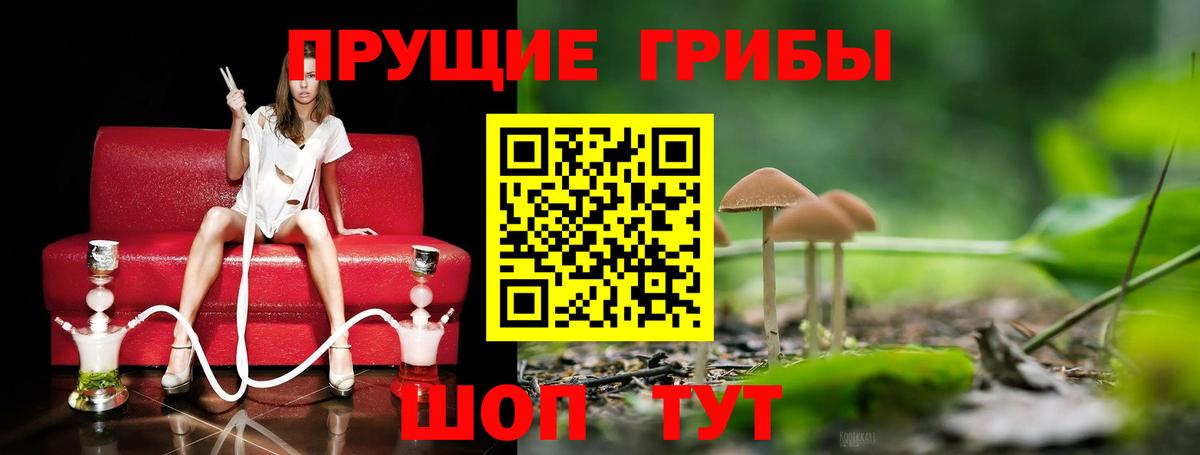 Псилоцибиновые грибы Cubensis  Вход с VPN  Иваново 